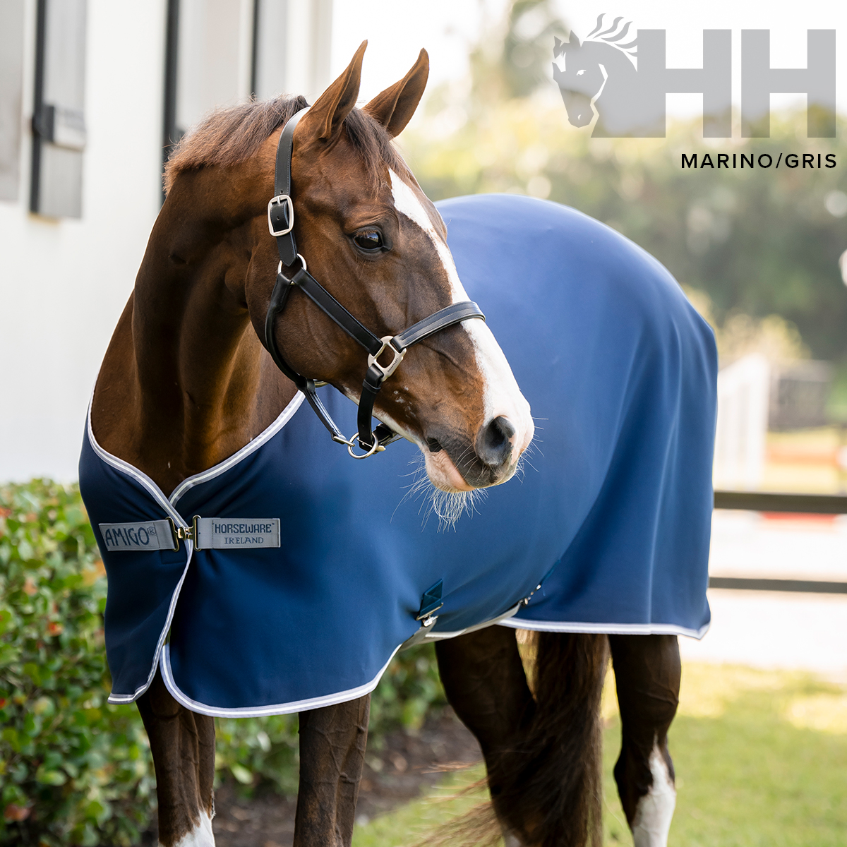 MANTA AMIGO JERSEY COOLER SECADO - Imagen 4