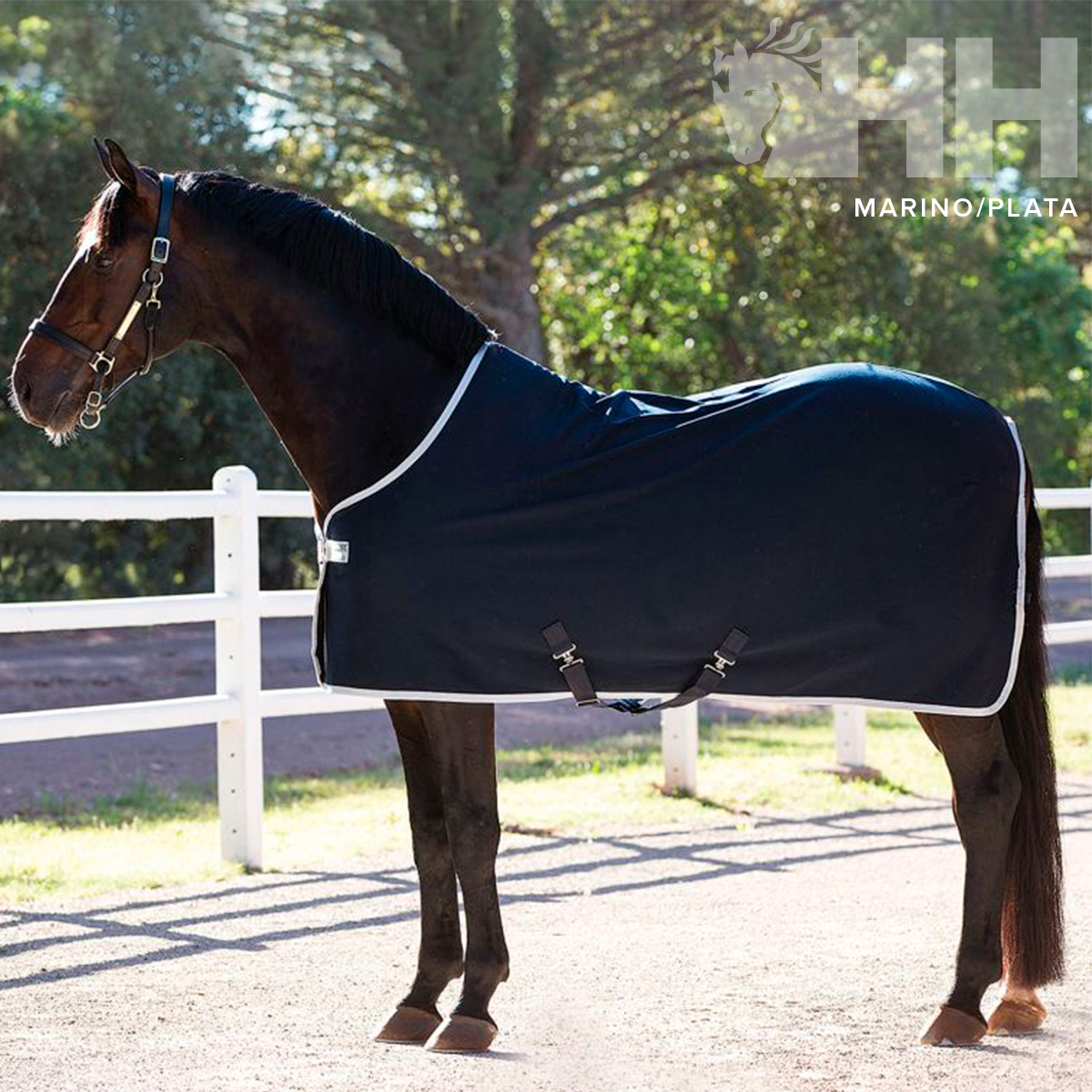 MANTA AMIGO JERSEY COOLER SECADO - Imagen 3