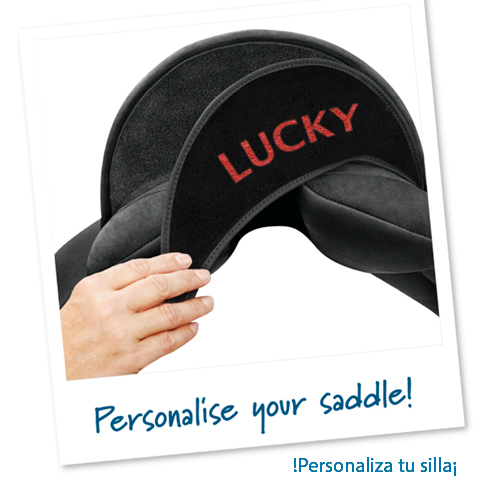 SILLA ING.USO GENERAL WINTECLITE - Imagen 3