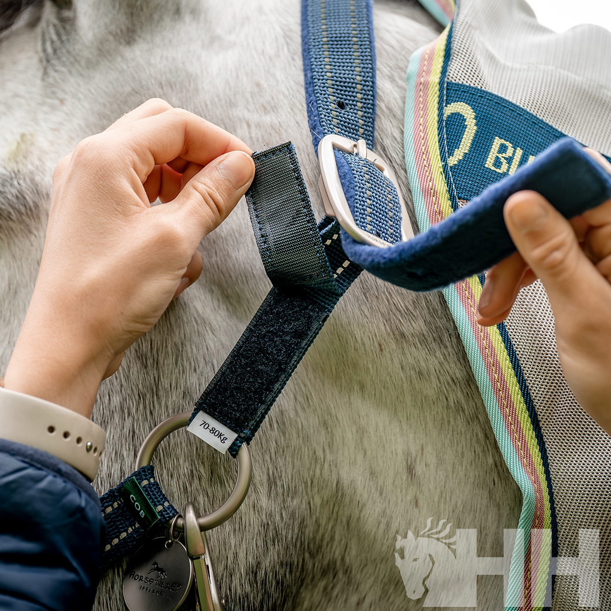 CABEZADA CUADRA HORSEWARE NYLON FIELD SAFE - Imagen 3