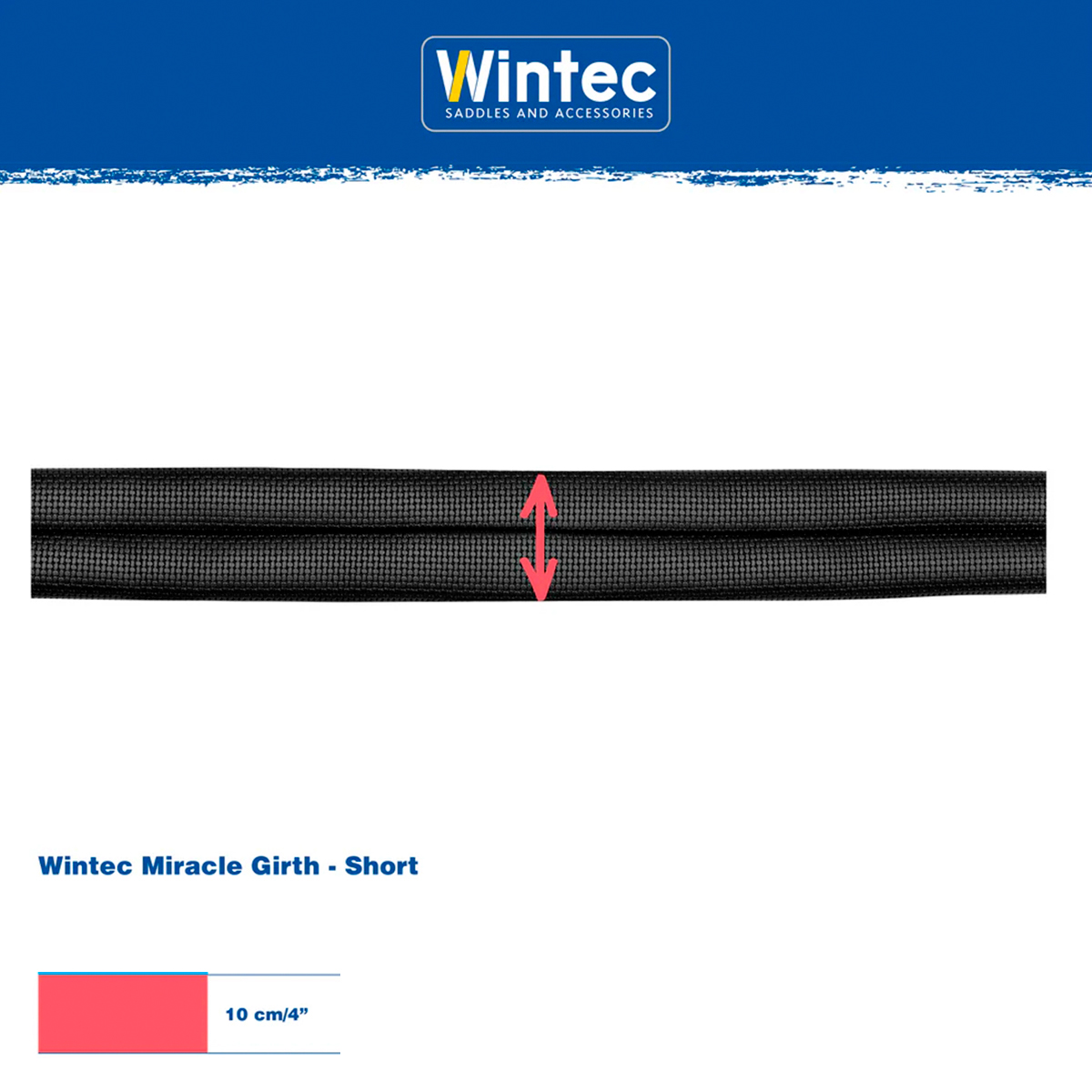 CINCHA WINTEC MIRACLE CORTA - Imagen 3