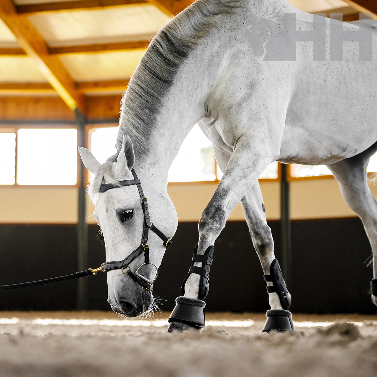 CABEZADA INGLESA HORSEWARE MICKLEM MULTI BRIDLE - Imagen 5