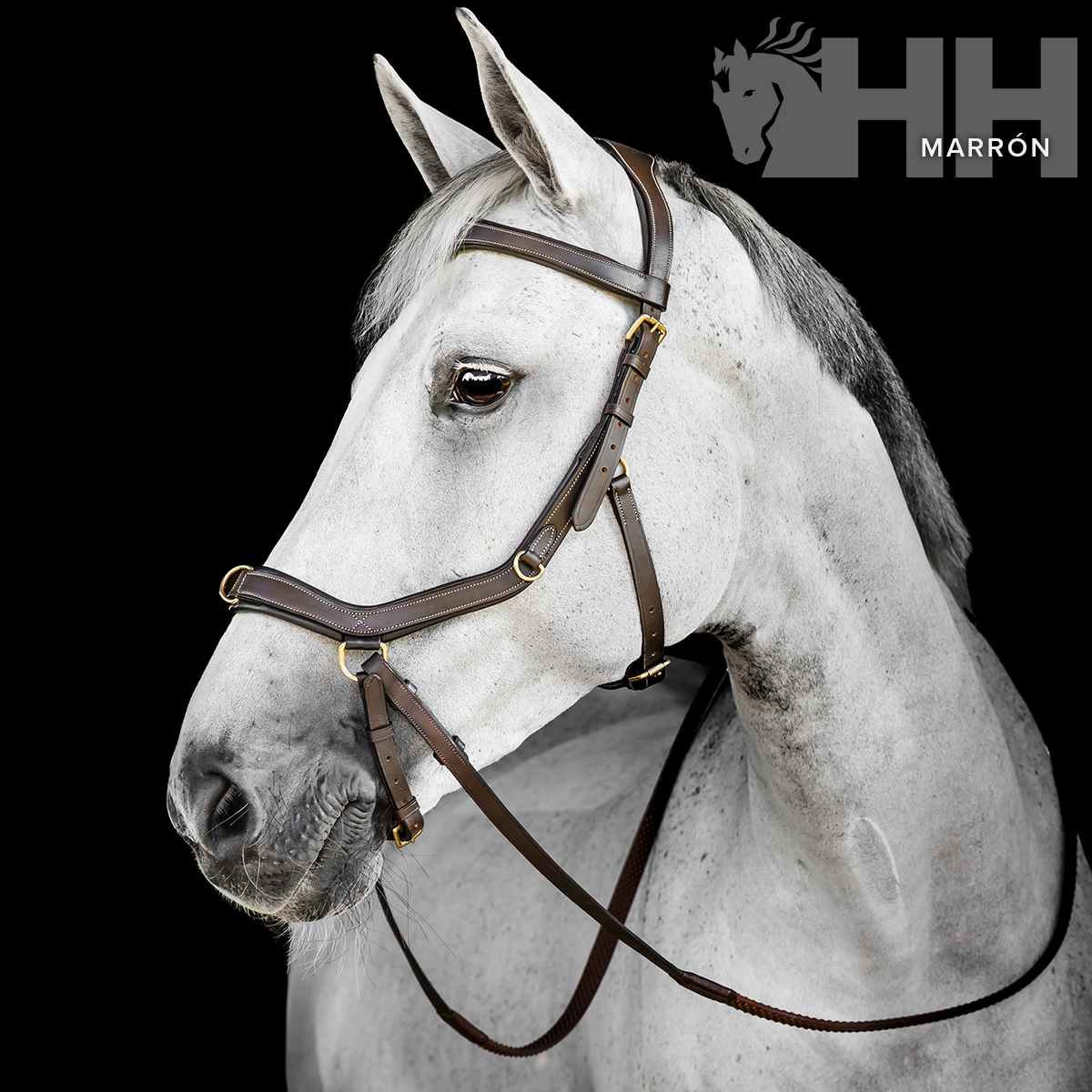 CABEZADA INGLESA HORSEWARE MICKLEM MULTI BRIDLE - Imagen 2