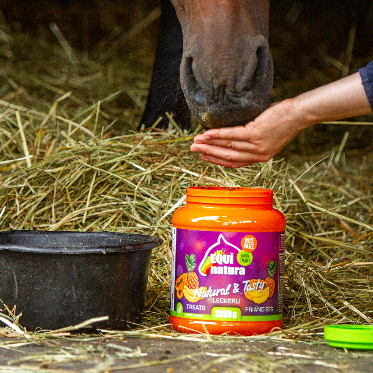 GOLOSINAS EQUINATURA TASTY TREATS - Imagen 2