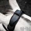 PROTECTOR TESTERO HORSEWARE IONIC CALMANTE