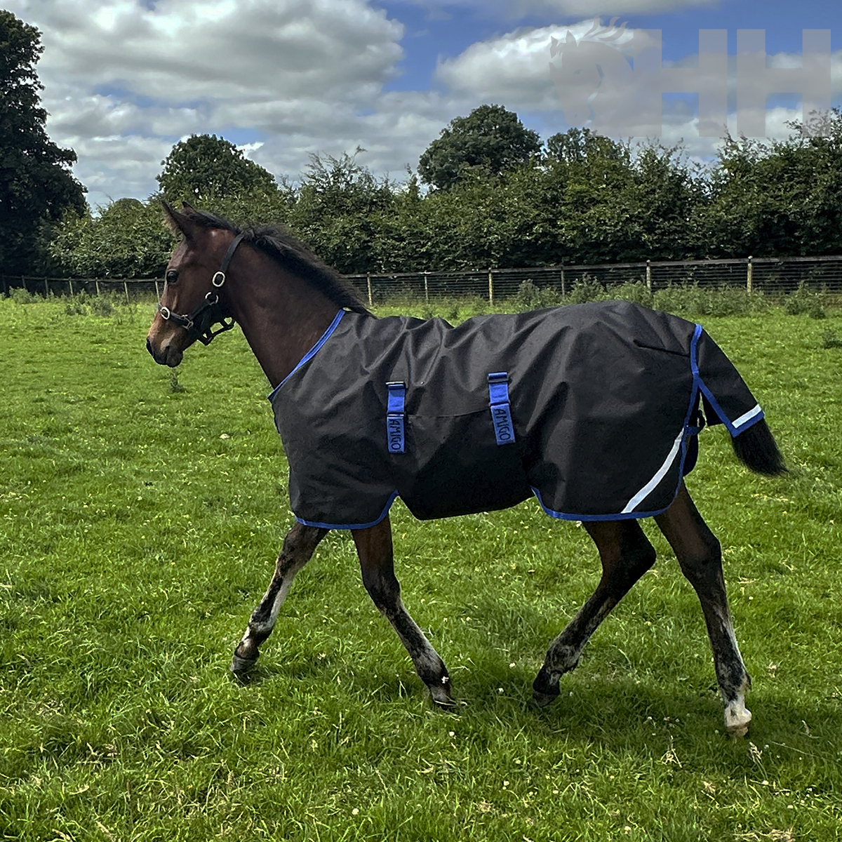MANTA AMIGO RIPSTOP 900D FOAL POTRILLO EXTERIOR MEDIUM (200g) - Imagen 4