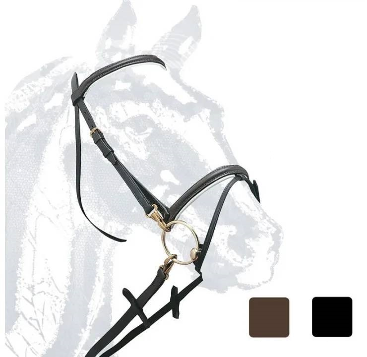 CABEZADA MONTAR CON MOSQUETONES