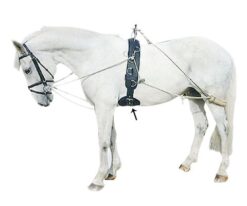 CINCHUELO DOMA ENTRENAMIENTO FELIX BRASSEUR