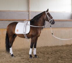 Cinchuelo Volteo Cuero Blanco