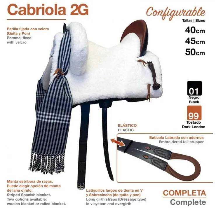 SILLA ZALDI C. CABRIOLA 2G (COMPLETA) - Imagen 3