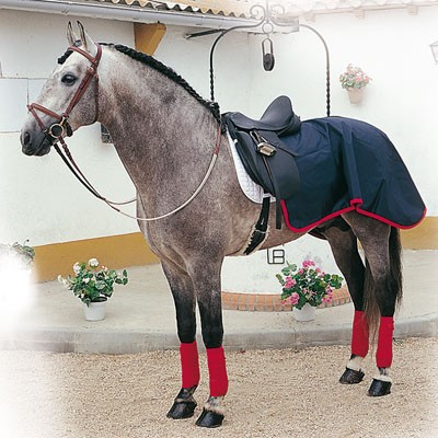Manta Riñonera Impermeable Lippo