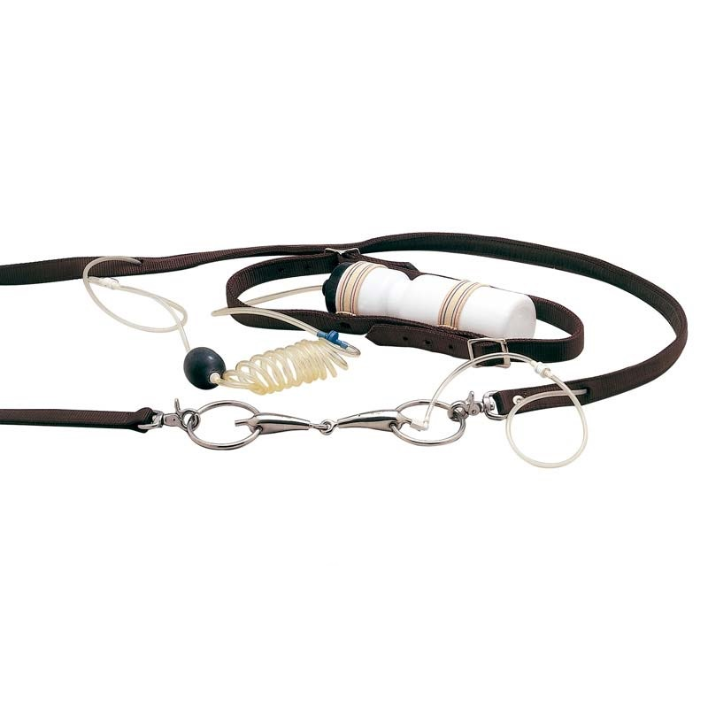 FILETE PS REWARD SYSTEM