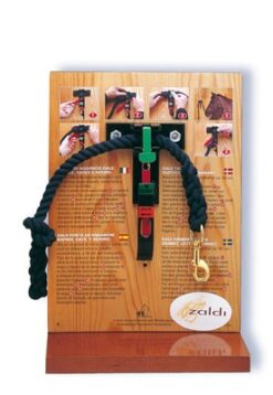 Ramal-Cierre Seguridad -Dale System-