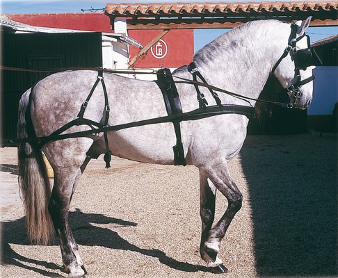 ENGANCHE PECHOPETRAL PVC/NYLON SENCILLO