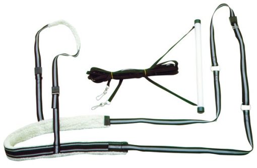 Enganche Jo-Ring Harness (Set)