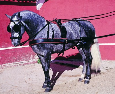 Enganche Maraton Sencillo