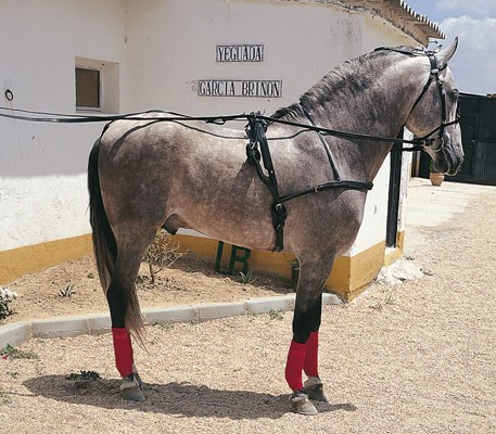 Enganche Troton Cuero Negro