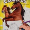 LIBRO: DIBUJO Y PINTO CABALLOS (T.BEAUDENON)