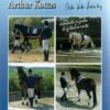 Dvd: A. Kottas Nº1 El Caballo A La Cuerda