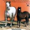 DVD: EL CABALLO ESPAÑOL MORFOLOGIA