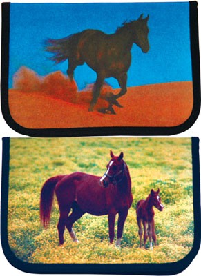 Estuche "pencil Case"