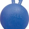 Juguete Balon Para Caballos -Horse Ball-