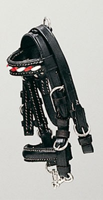 Cabezada Montar Inglesa Mini