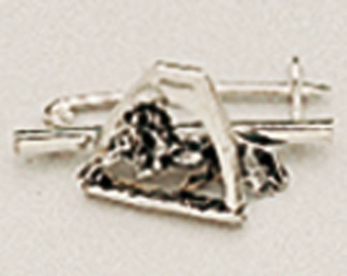 Regalo Alfiler Plastron Plata