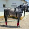 Riendas Enganche Troton Negro