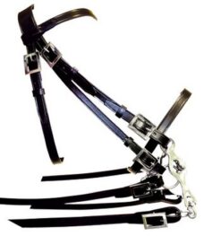 Cabezada Portuguesa Trabajo D/rienda Cro.