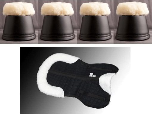 Conjunto Campanas + Salvacruz Borreguillo