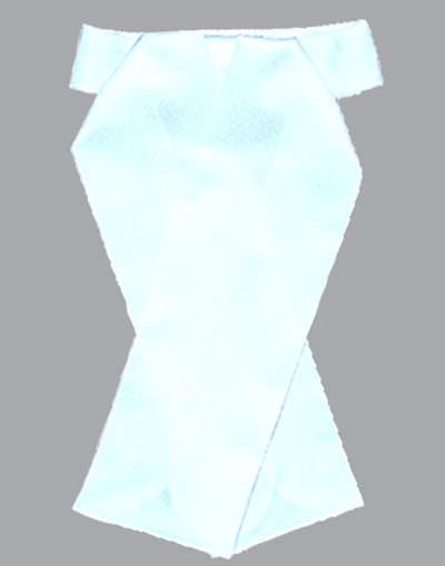 Corbata Plastron Concurso Blanco