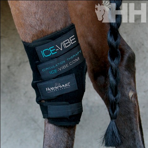 PROTECTOR CORVEJON ICE-VIBE HORSEWARE (SET COMPLETO)
