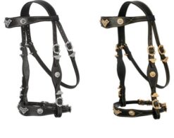 CABEZADA PORTUGUESA HH  HEBILLA CORTESIA