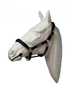 CABEZADA CUADRA LEXHIS CUERO