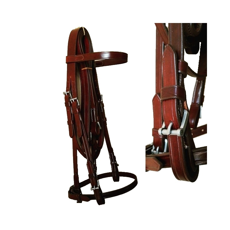 CABEZADA ALTA ESCUELA EQuivan Inox.