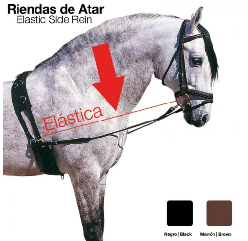 Riendas Atar Elastica